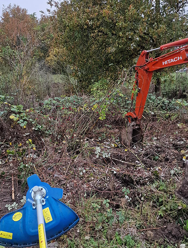 Garden Clearance & Maintenance
